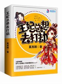 王妃总想去打劫封面