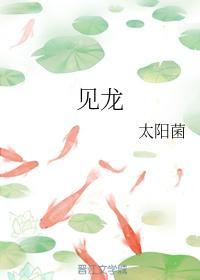 见龙封面