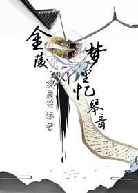 金陵梦里忆琴音封面
