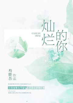 灿烂的你封面