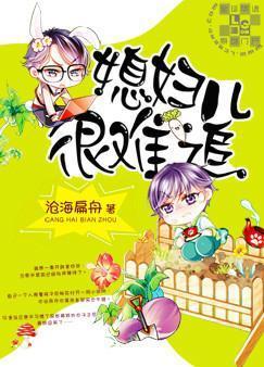 媳妇儿很难追封面