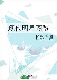 现代明星图鉴封面