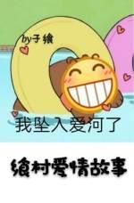 乡村爱情故事封面