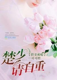 猎妻成瘾：楚少，请自重封面