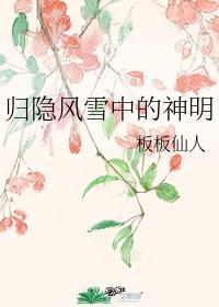 归隐风雪中的神明封面