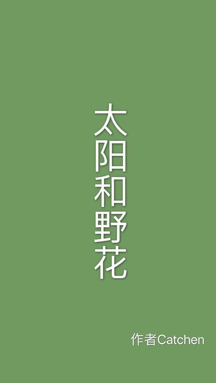 太阳和野花封面