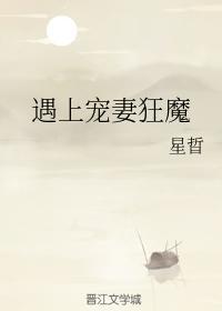 遇上宠妻狂魔封面