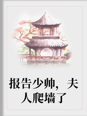 报告少帅，夫人爬墻了封面