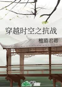 穿越时空之抗战封面