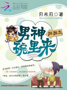 网游之男神碗里来封面