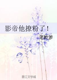 影帝他撩粉了！封面