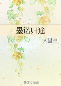 墨诺归途封面