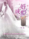 二婚成瘾封面