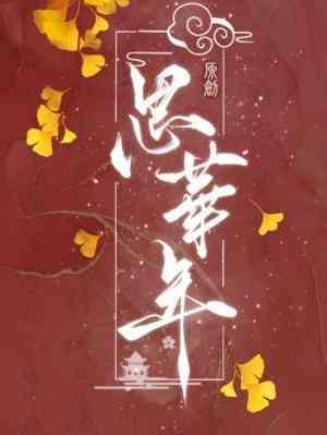 思华年封面