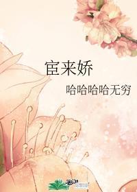 宦来娇封面