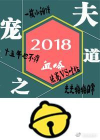 宠夫之道封面
