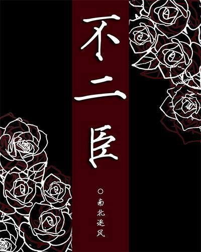 不二臣封面