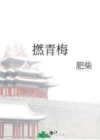 捻青梅封面