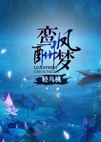 鸾凤酬梦封面