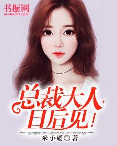 总裁大人,日后见!封面