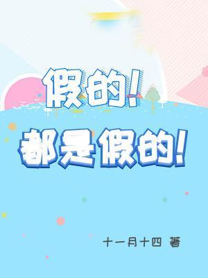 假的！都是假的！封面