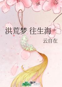 洪荒梦 往生海封面