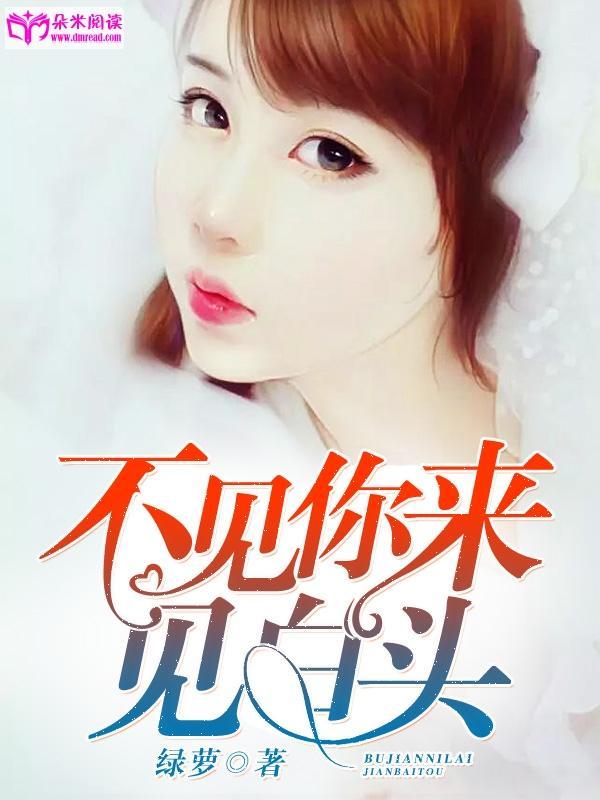 不见你来见白头封面