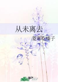 从未离去封面