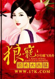 前妻要改嫁封面
