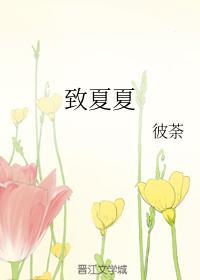 致夏夏封面