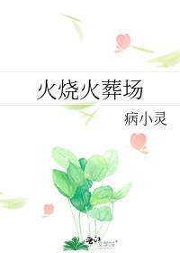 火烧火葬场封面