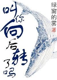 叫你向后转了吗？封面