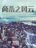 商杀之风云封面