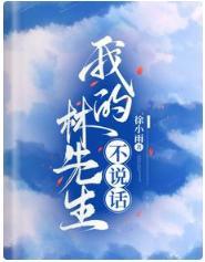 我的林先生不说话封面