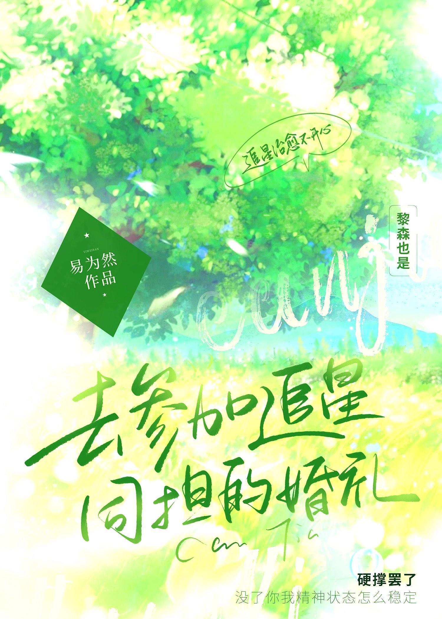 去参加追星同担的婚礼封面