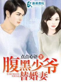 腹黑少爷替婚妻封面