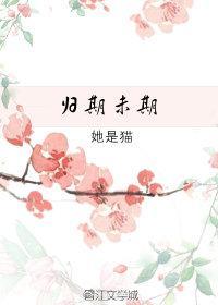 归期未期封面