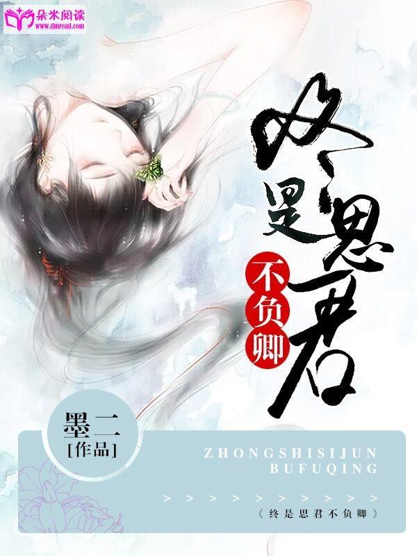 终是思君不负卿封面