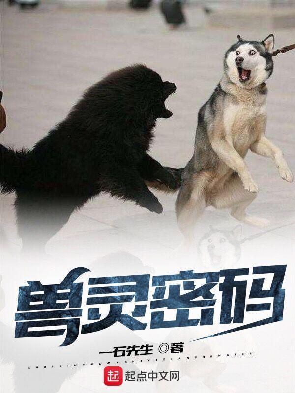兽灵密码封面