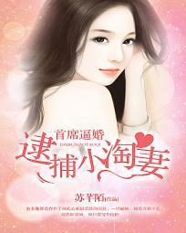 首席逼婚：逮捕小淘妻封面