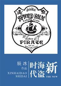 新海盗时代封面