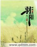 羽阳传封面