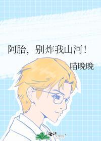 阿胎，别炸我山河！封面