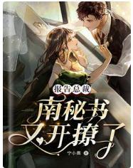 报告总裁：南秘书又开撩了封面