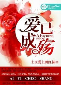 爱已成殇封面