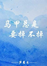 马甲总是要掉不掉封面