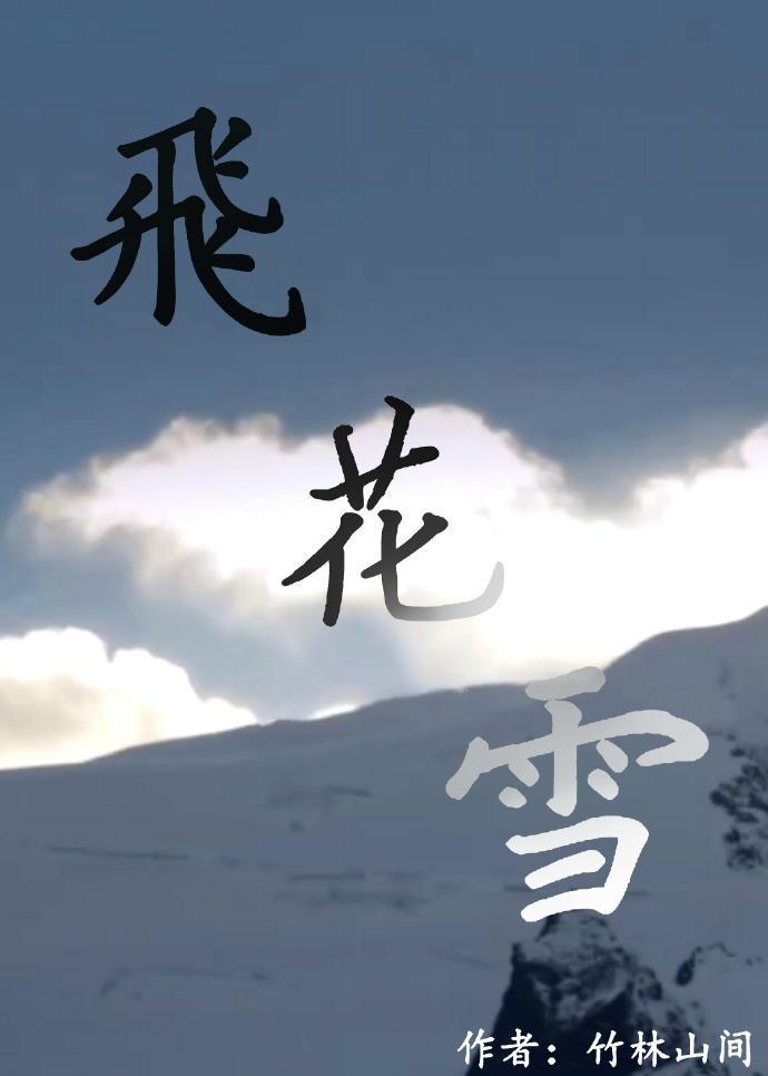 飞花雪封面