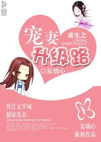 重生之宠妻升级路封面