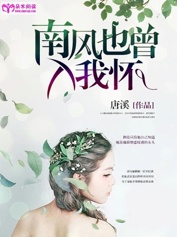 南风入境封面