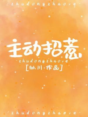 主动招惹封面